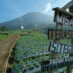 Desa Wisata di Lereng Gunung Sumbing